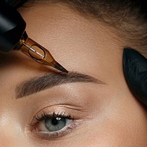 Full Eyebrow Package + maintenance at Fallen Angel Tattoo in Portland, OR